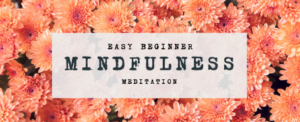 Beginner Mindfulness Meditation Guide