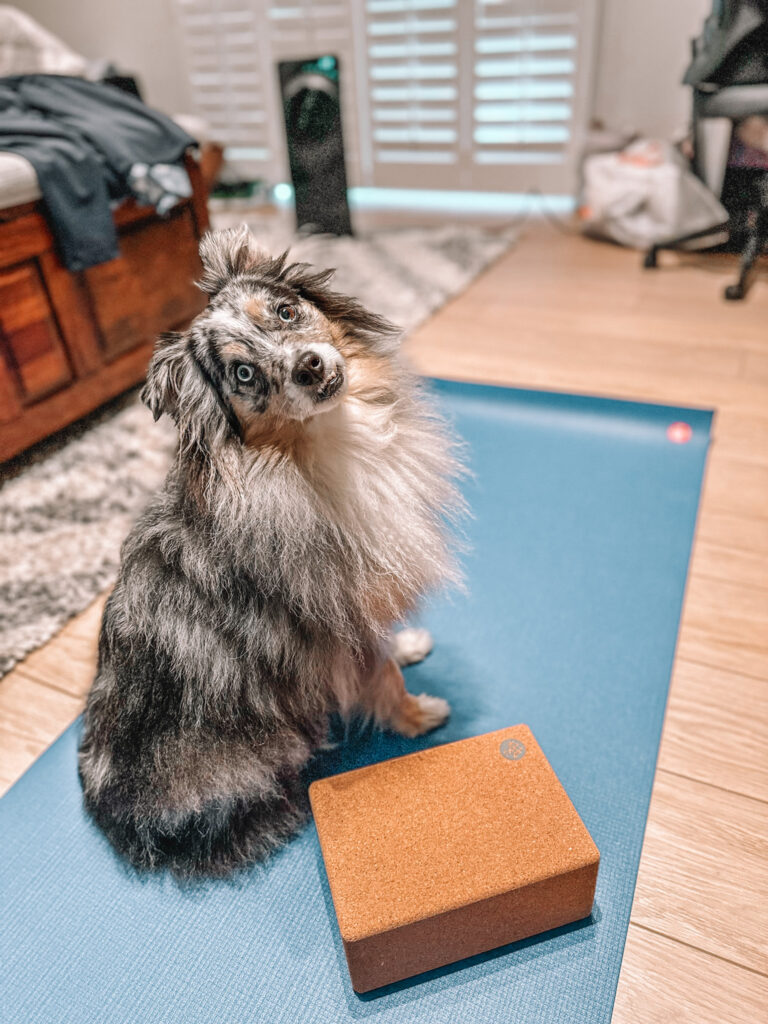 Manduka Yoga with mindfulness and dog